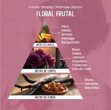Pirâmide Olfativa (Perfume Inspirado)